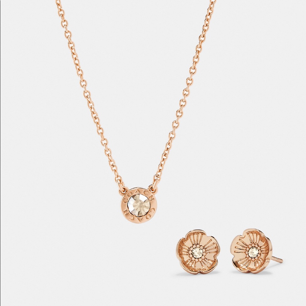 NWT Coach Necklace and Earring set